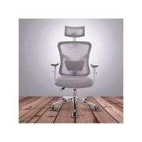 SILLA DE OFICINA VERSALLES PRO GRIS ERGONÓMICA