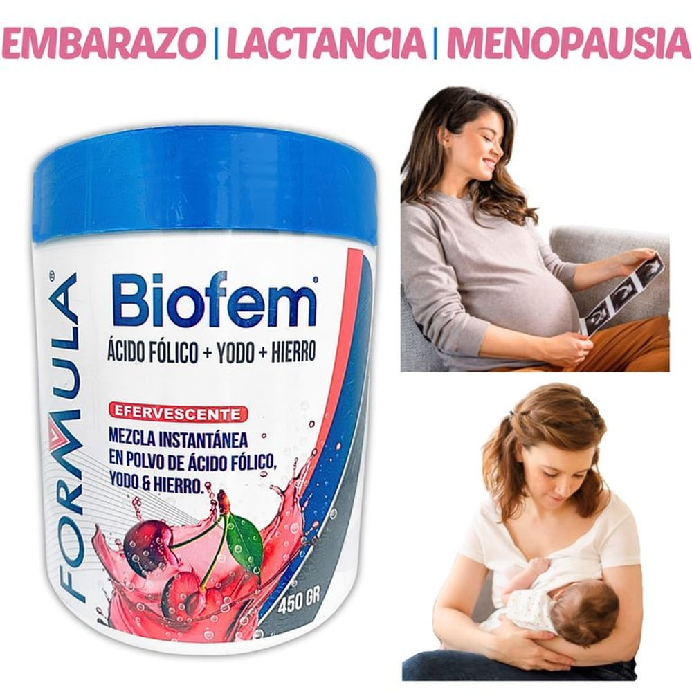 ACIDO FOLICO 400 MCG  YODO  HIERRO 450 GRAMOS EN POLVO FORMULA V