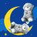 imageUrl_2