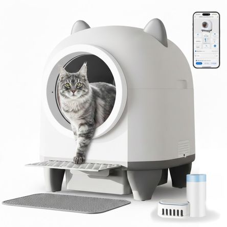 imageUrl_1 imageUrl_1