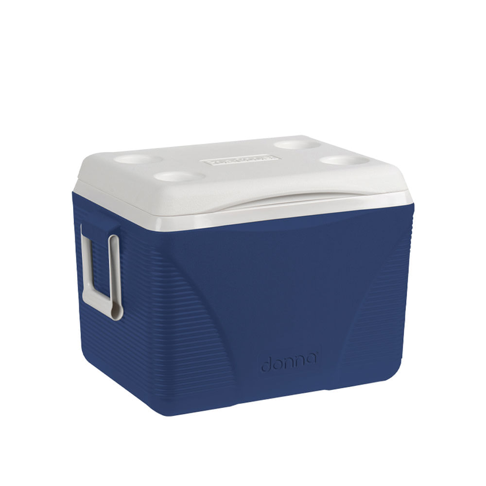 Cooler Hogar 44L HS758