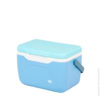 Cooler Snowbox 5.5 L C