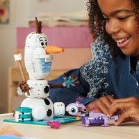 LEGO 43287 Divertido Pícnic de Olaf y Bruni
