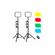 imageUrl_3