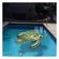 imageUrl_5