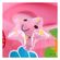 imageUrl_5