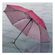 imageUrl_5