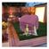 imageUrl_5