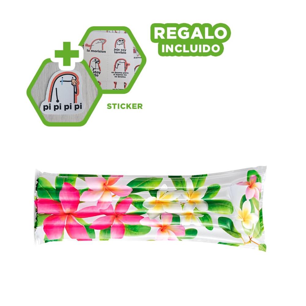 Colchon Inflable Decoracion Hogar Casa Festivo Rosado Verde Flores Hojas Y+Regalo Sticker