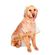 imageUrl_5