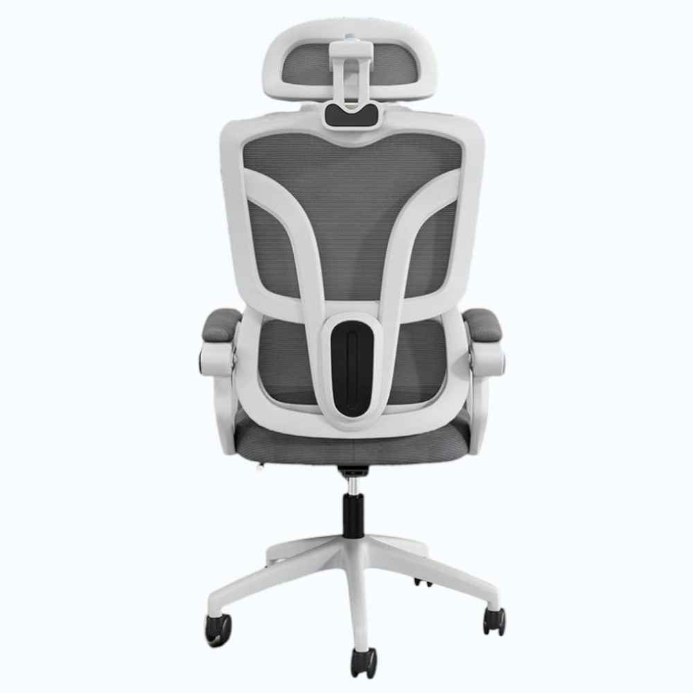 imageUrl_1 imageUrl_1