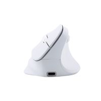 MOUSE INALÁMBRICO TEROS TE-1236S RGB BLANCO 6 BOTONES