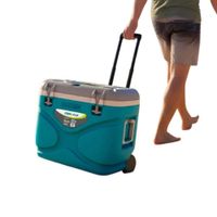 Cooler Prudence con Ruedas 45 L verde