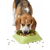 Plato Antiestrés para Mascotas Mejora Digestión Comedero Perros y Gatos Verde