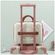 imageUrl_3