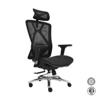 Silla Ergonómica Levi Plus II Presidente Negro Althea Confort
