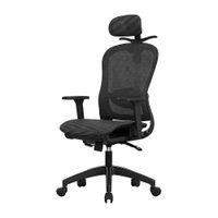 Silla de Oficina Ergonómica Evox Advance E7-B Negro