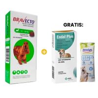 Bravecto Antipulgas Perro Masticable 10 a 20 Kg y GRATIS Endal Antiparasitario x4 und y Dental Bone