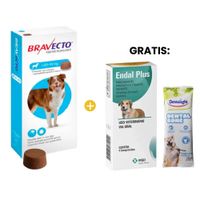 Bravecto Antipulgas para Perro Masticable 20 a 40 Kg y GRATIS Endal Antiparasita x4und y Dental Bone