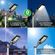 imageUrl_6
