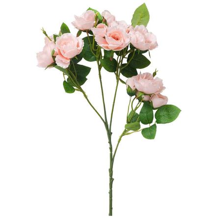 image-1f1b94c8e06c4947ad3746565ba48b4e image-1f1b94c8e06c4947ad3746565ba48b4e