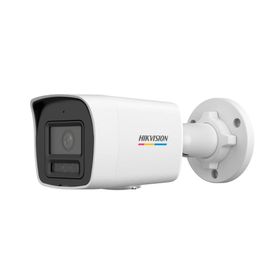 Image-1
