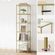 imageUrl_6