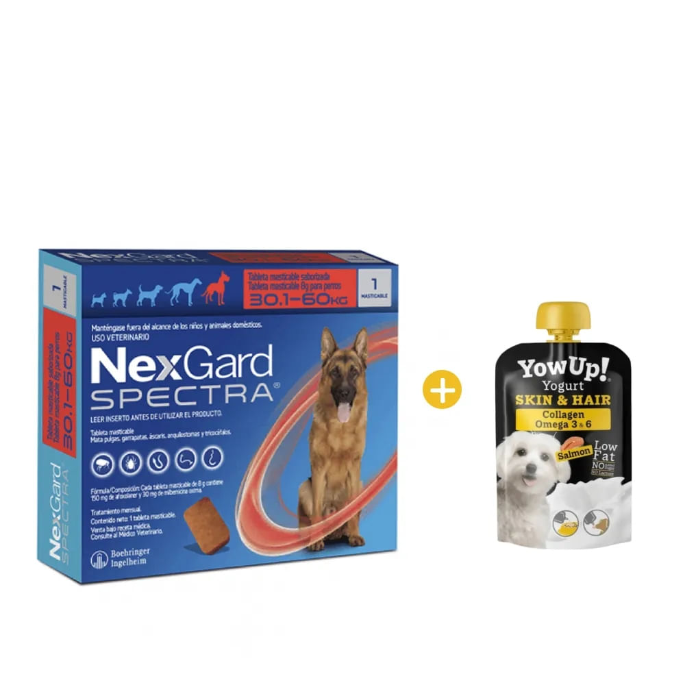 Image-1 Image-1