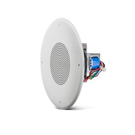 Image-1