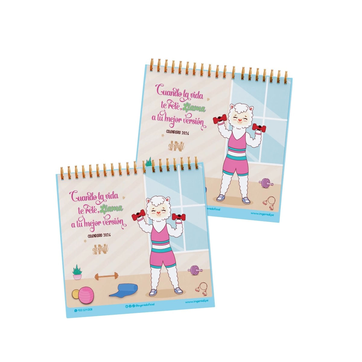 Dúo de organizadores mensuales Ingenial Llami