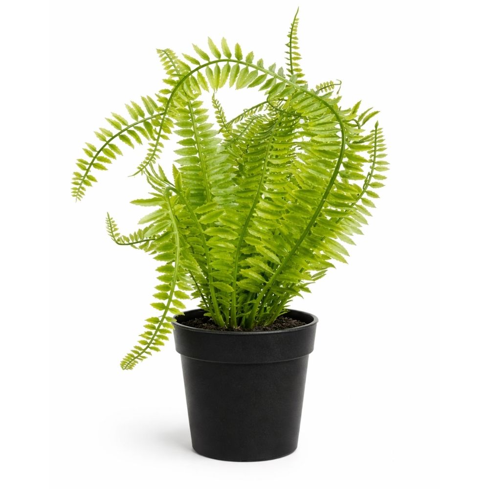 Planta Artificial Helecho con macetero decorativo