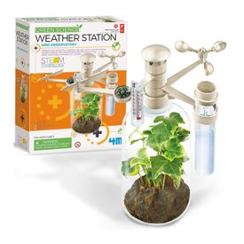 image-4fbbd90e03464c8d91ab9a1eae807703