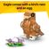 imageUrl_5