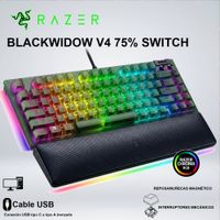 TECLADO GAMER BLACKWIDOW V4 SWITCH ORANGE HOT-SWAPPABLE 8000hz US 3ERA GEN  152583468