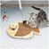 imageUrl_4