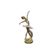 imageUrl_2