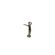 imageUrl_5
