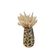imageUrl_6
