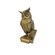 imageUrl_4