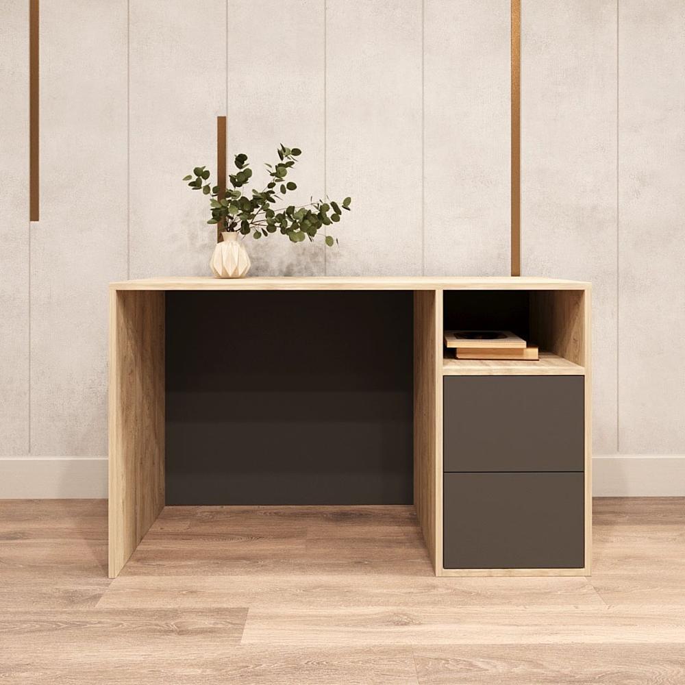 Escritorio Palmer 2 cajones Marron y Negro | Masiva Home