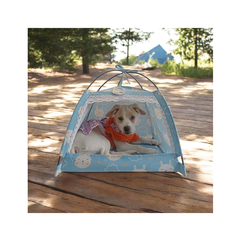 CASA CARPAS PARA MASCOTAS - TALLA M - CELESTE Celeste CASA CARPAS PARA MASCOTAS - TALLA M - CELESTE Celeste