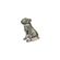 imageUrl_4
