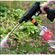 imageUrl_6
