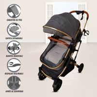 Coche Moisés de Lujo CALIFORNIA BABY Edición Limitada Gray