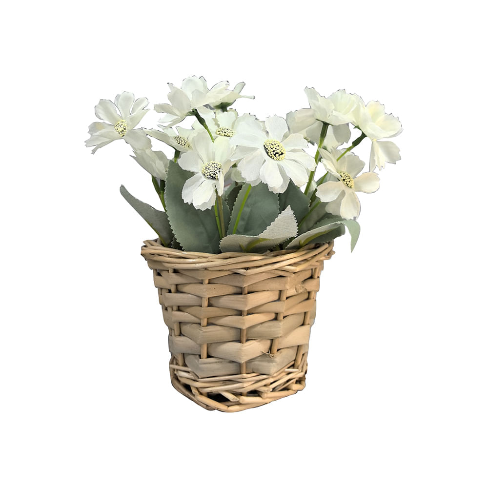 image-7d51d41230e04e28830866638b4301a3 image-7d51d41230e04e28830866638b4301a3