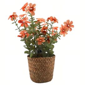 image-ad9d8441bc504a9aac7136472b6890e4