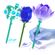 image-d02dfb51062c402194fea3d1b46ba3d2