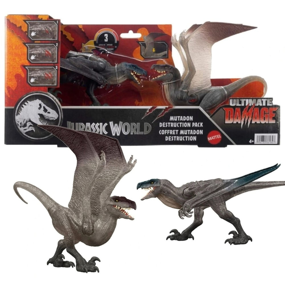 imageUrl_1 imageUrl_1