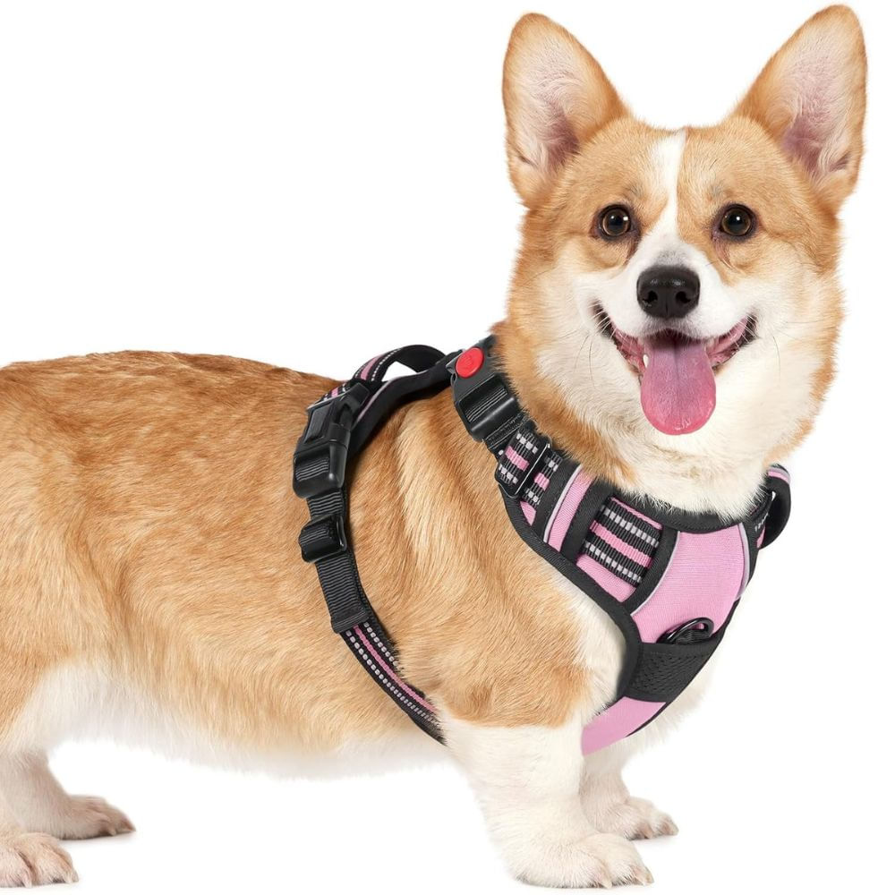 Arnés Ajustable para Perro Talla Small Antitirones Reflectante con Asa Color Rosado Arnés Ajustable para Perro Talla Small Antitirones Reflectante con Asa Color Rosado