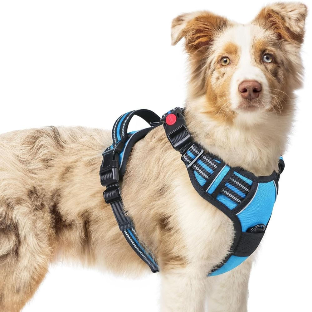 Arnés Ajustable para Perro Talla Medium Antitirones Reflectante con Asa Color Celeste Arnés Ajustable para Perro Talla Medium Antitirones Reflectante con Asa Color Celeste